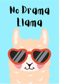 No Drama Llama